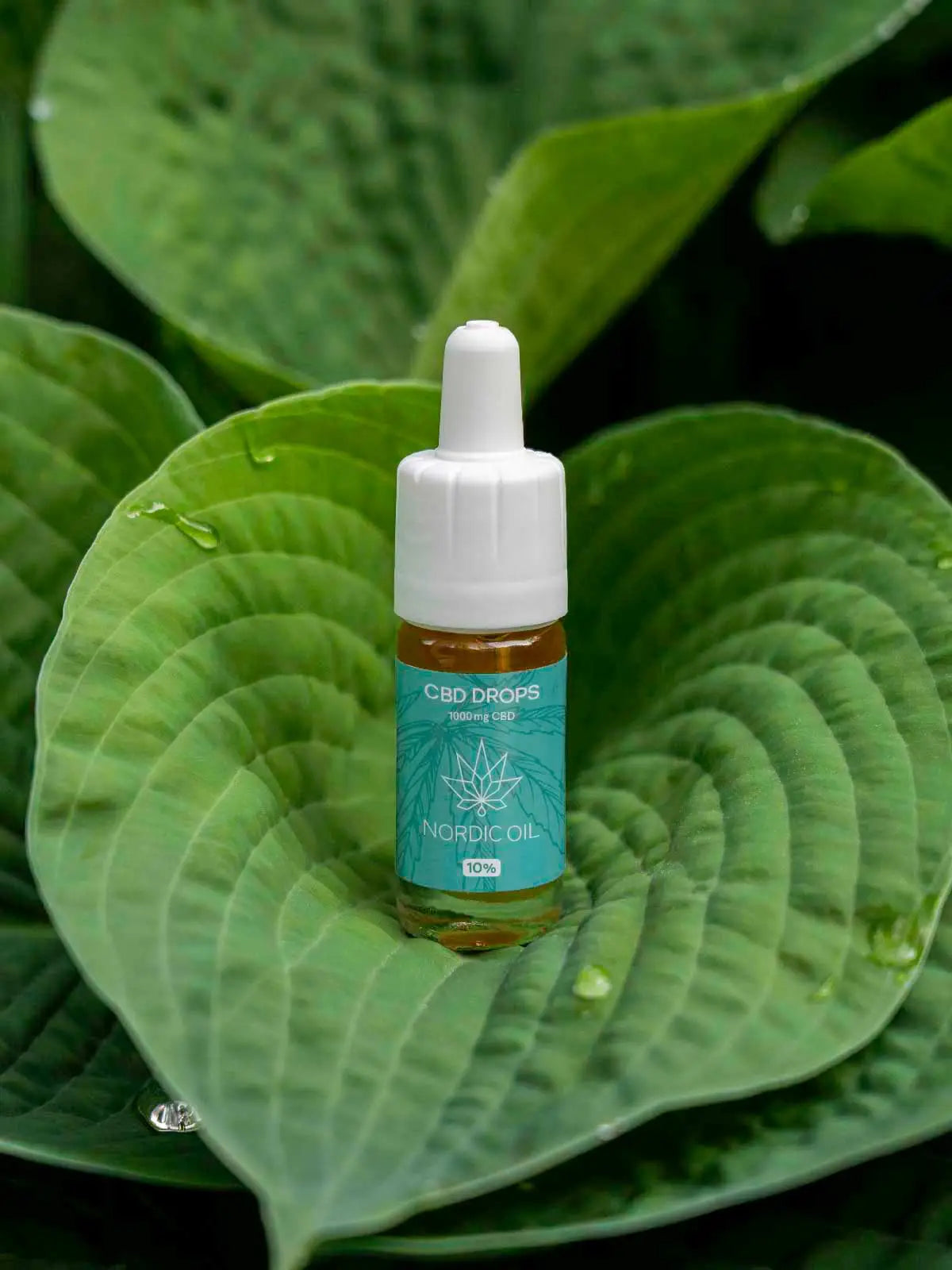 cbd-oil-10-02