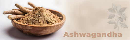 Heilpflanze des Monats: Ashwagandha – Tradition trifft moderne Entspannung