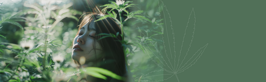 CBD und der weibliche Zyklus