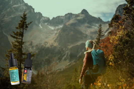 CBD zur Regeneration nach dem Wandern: Natürliche Unterstützung für Körper & Geist