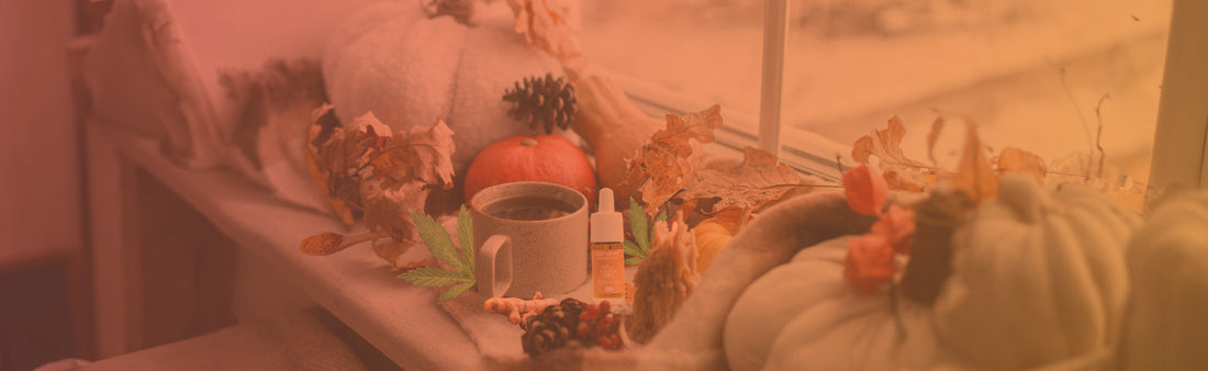 Hygge im Herbst – Natürlich entspannt mit CBD und Kurkuma