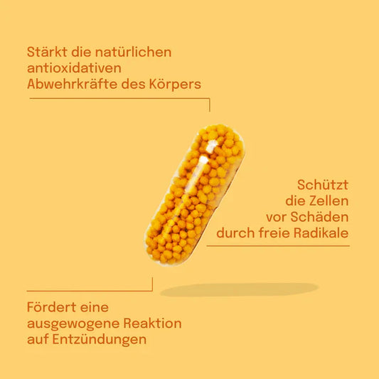 Kurkuma Kapseln 60 Stück